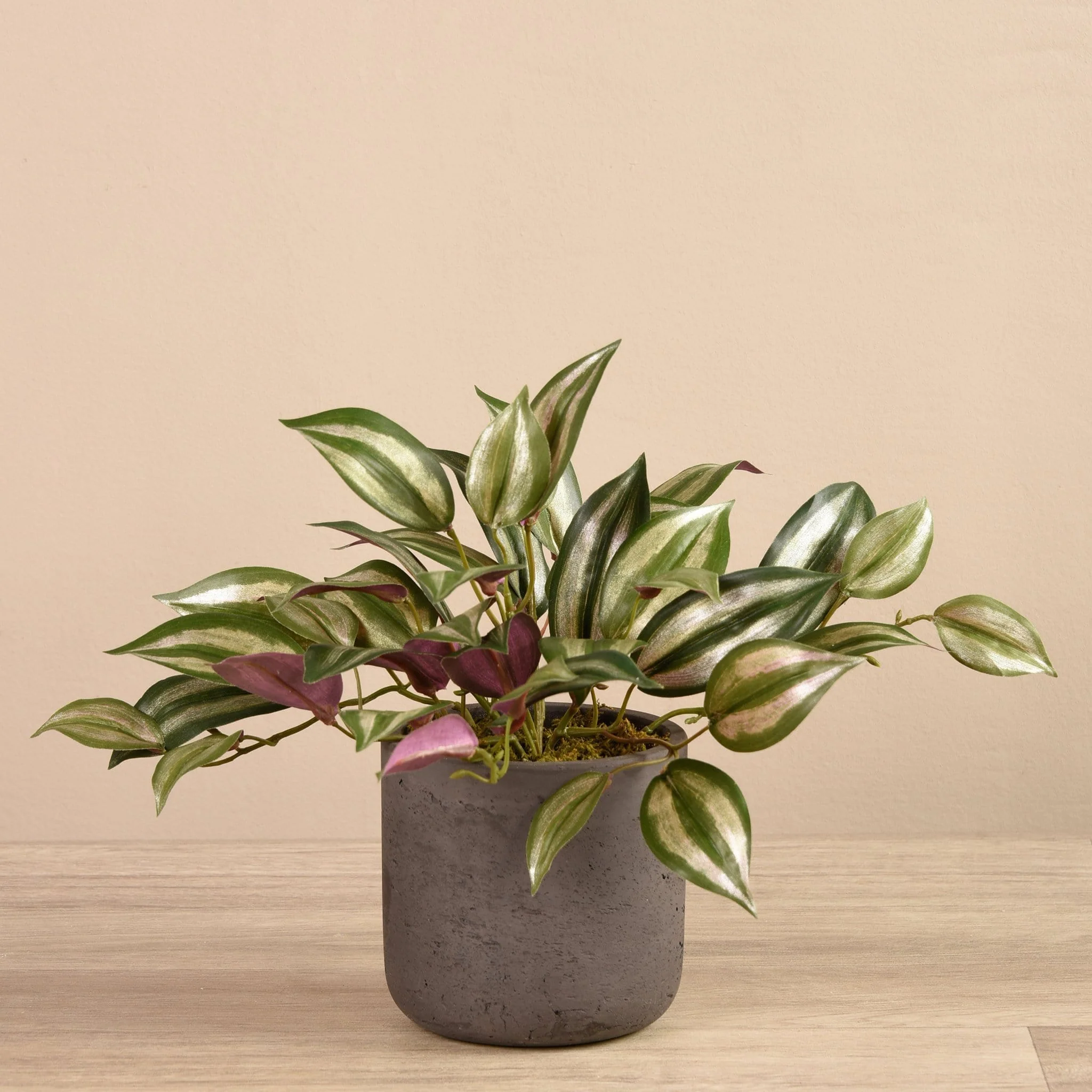 Artificial Vanilla Leaf in Cement Pot - Image 4