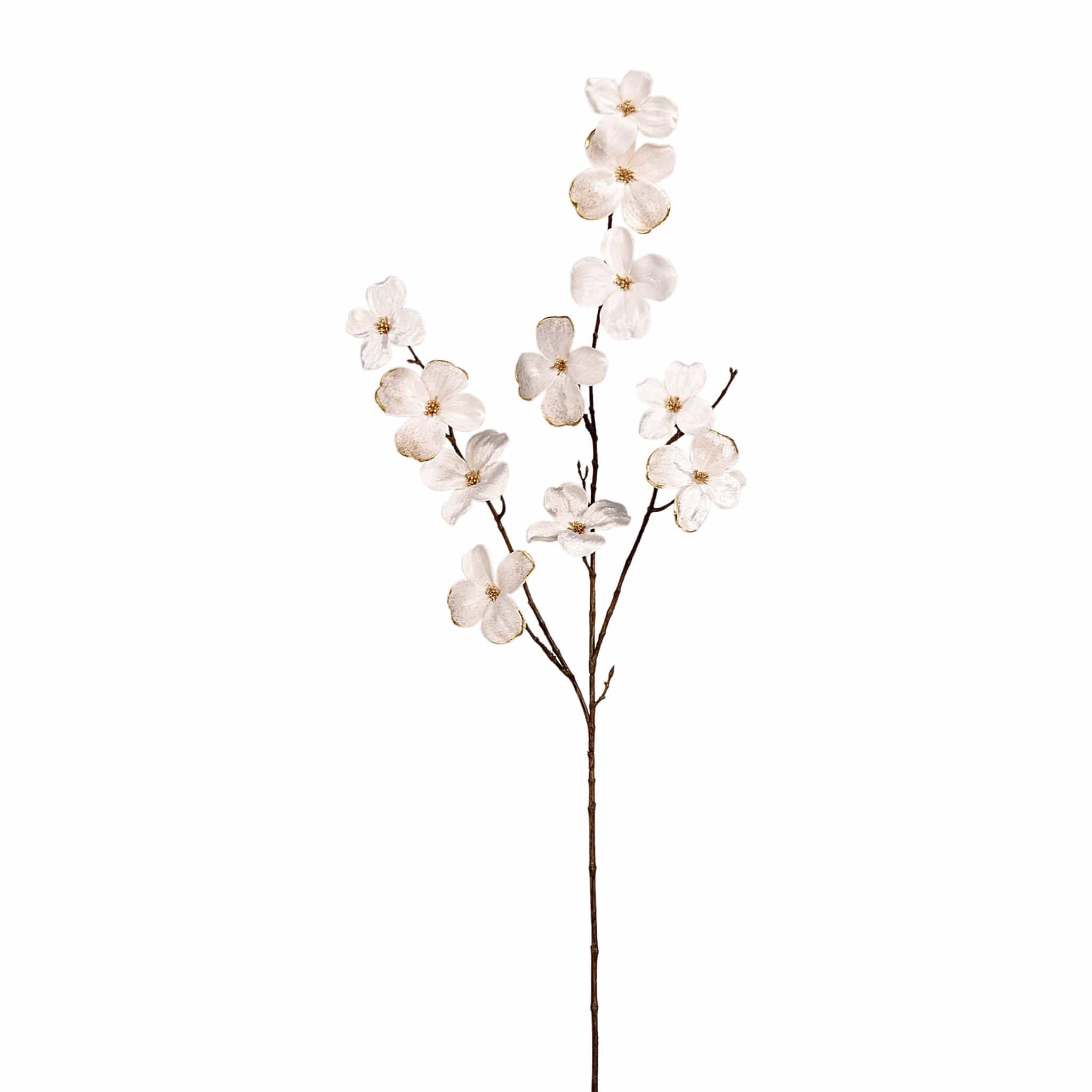 Velvet Dogwood