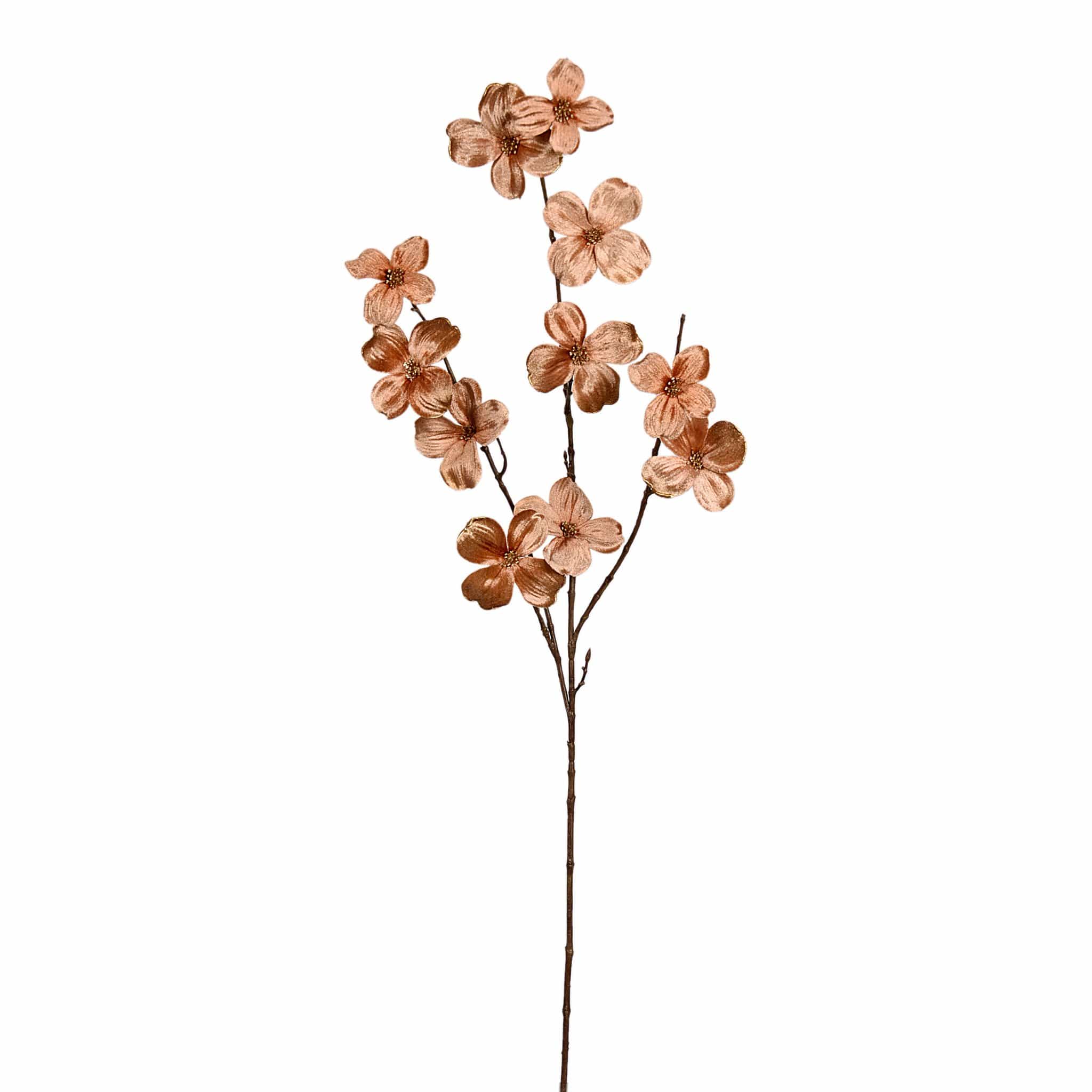 Velvet Dogwood - Image 3