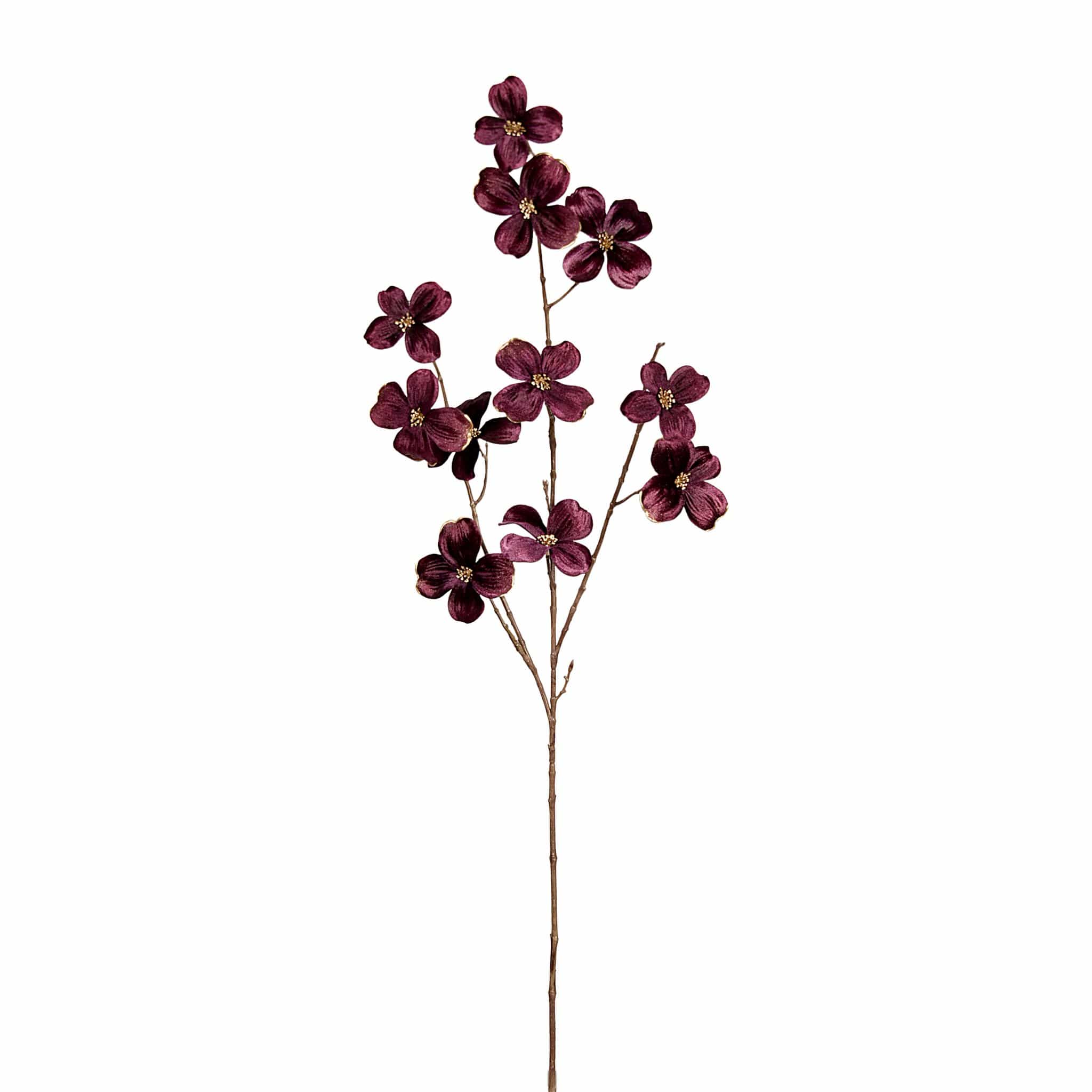 Velvet Dogwood - Image 4