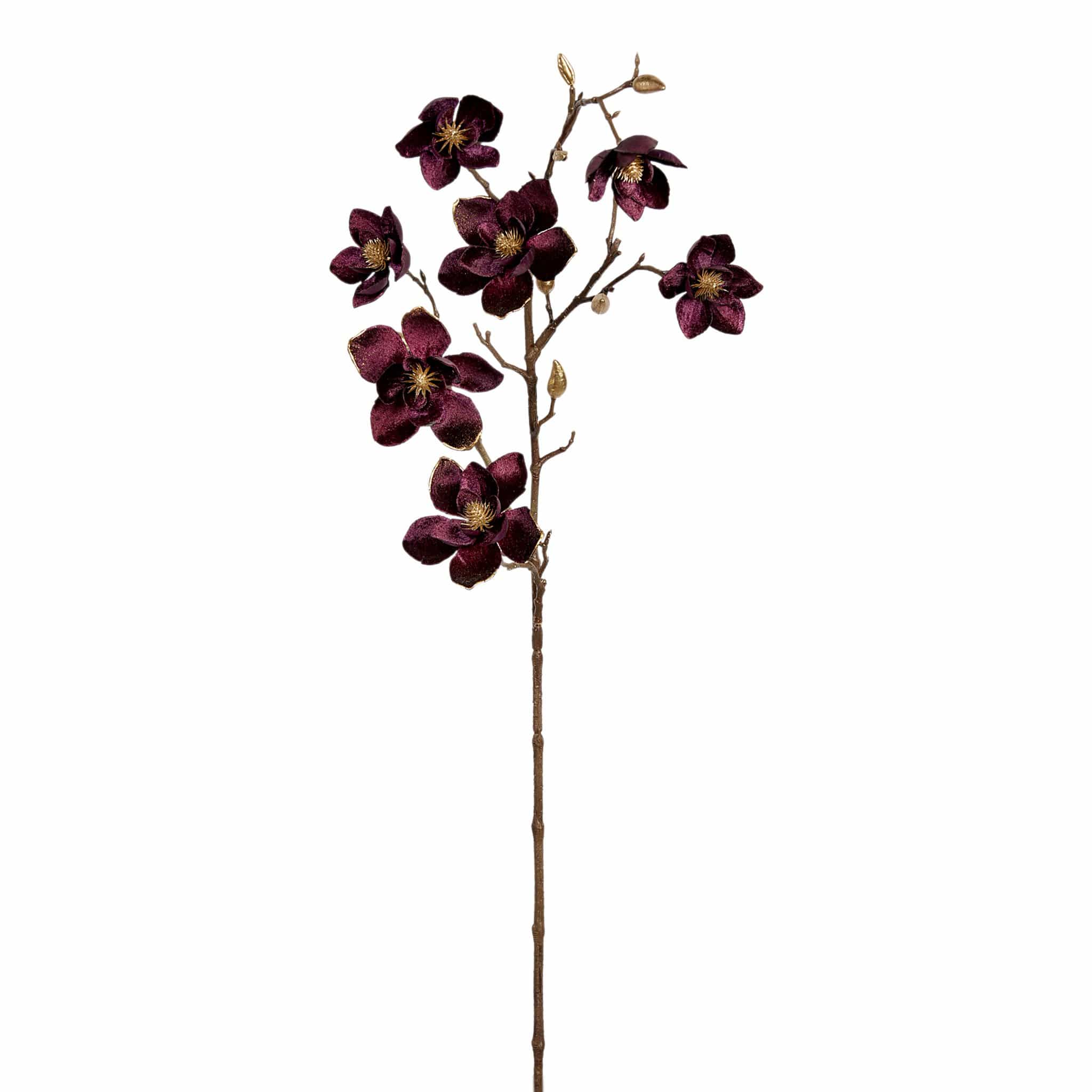 Velvet Magnolia - Image 4