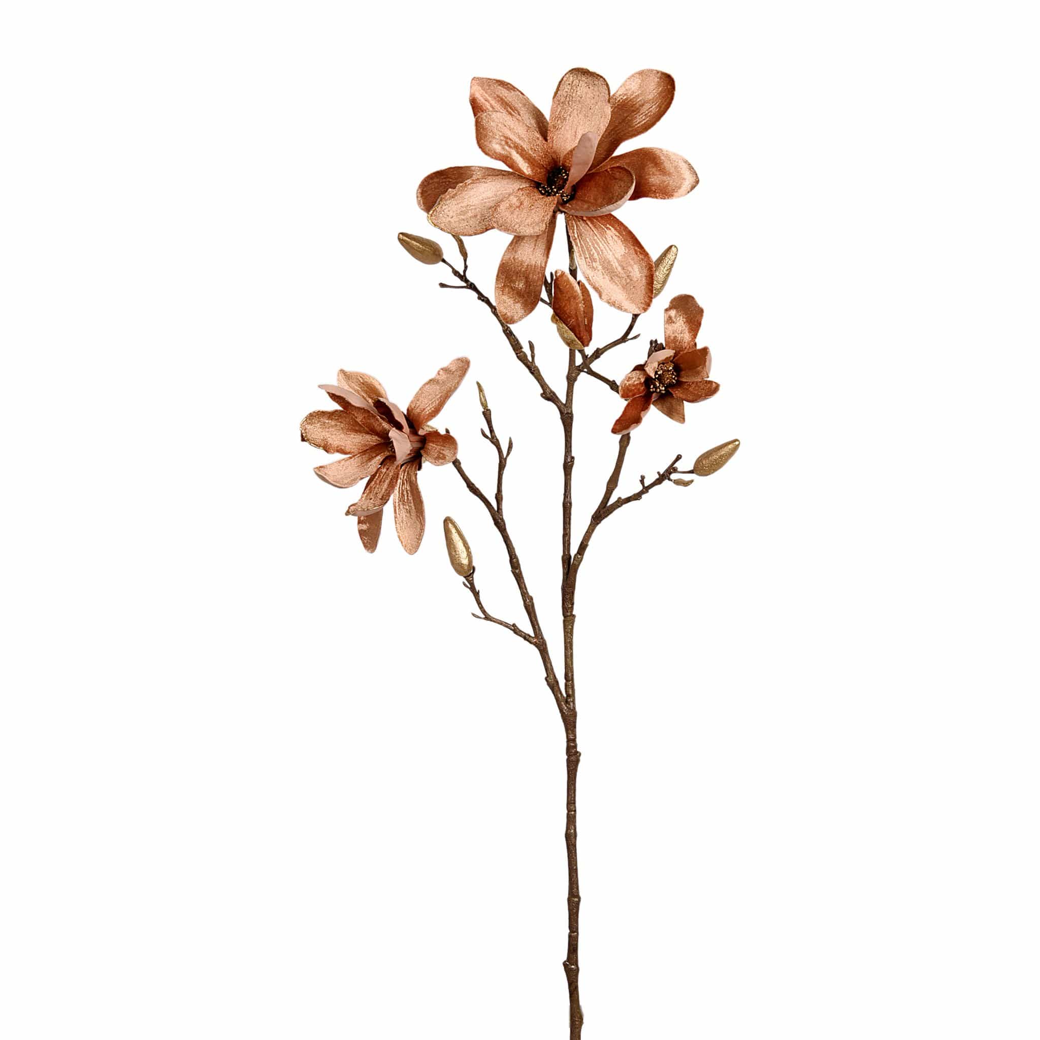 Velvet Magnolia - Image 3