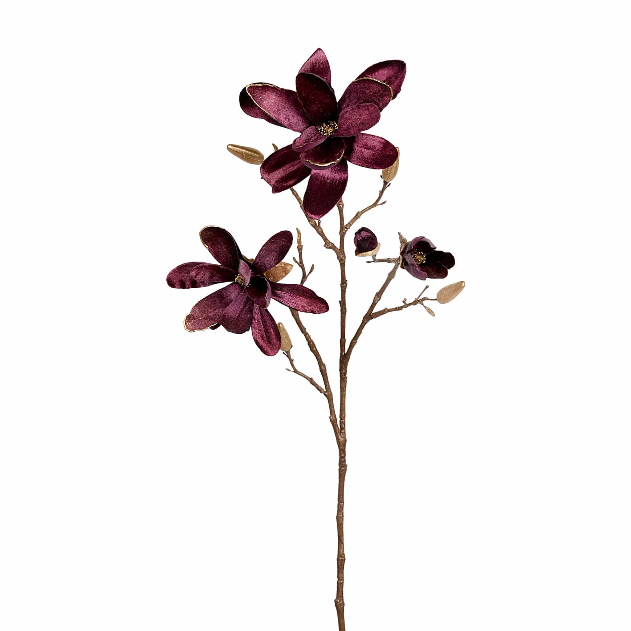 Velvet Magnolia - Image 4