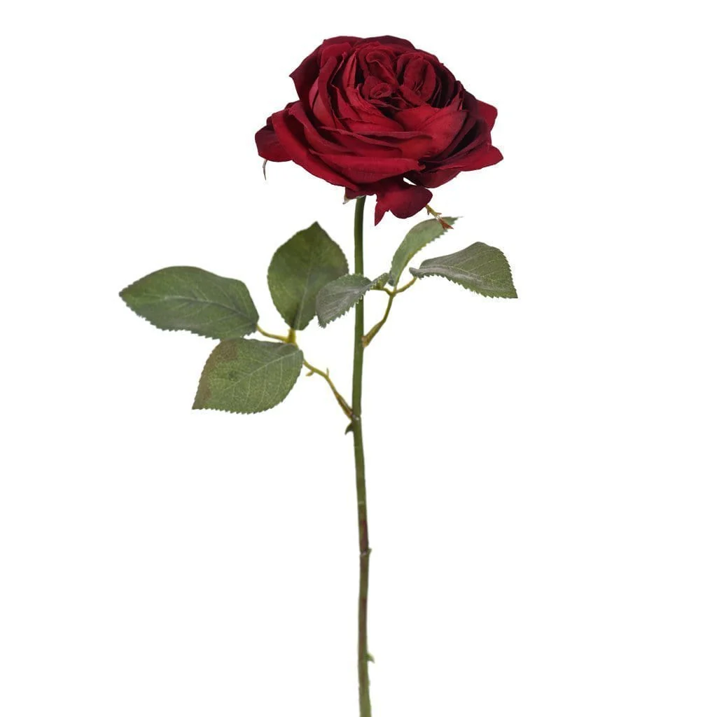 Velvet Rose - Image 5